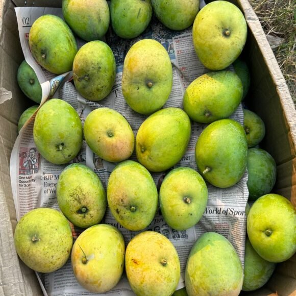 KothapalliKobbari 580x580