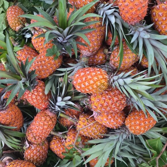 Honey_Pineapple_2 580x580