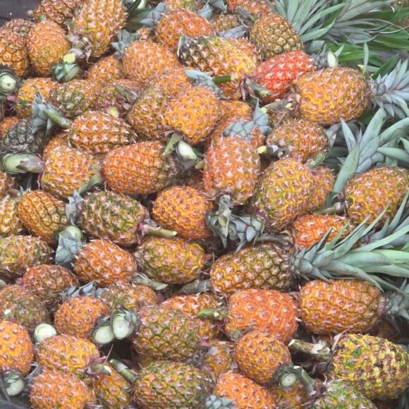 Honey_Pineapple_4 580x580